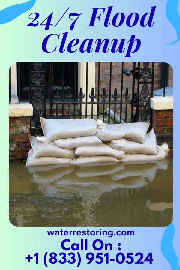 24/7 Flood Cleanup in Tustin, WI