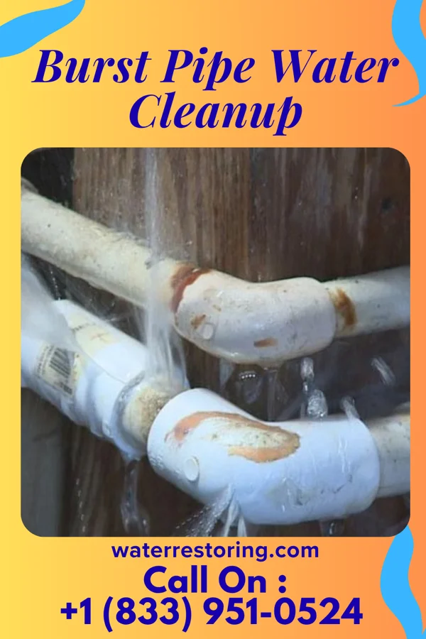 Burst Pipe Water Cleanup in Tustin, WI