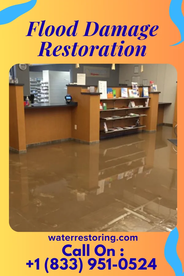 Flood Damage Restoration in Tustin, WI