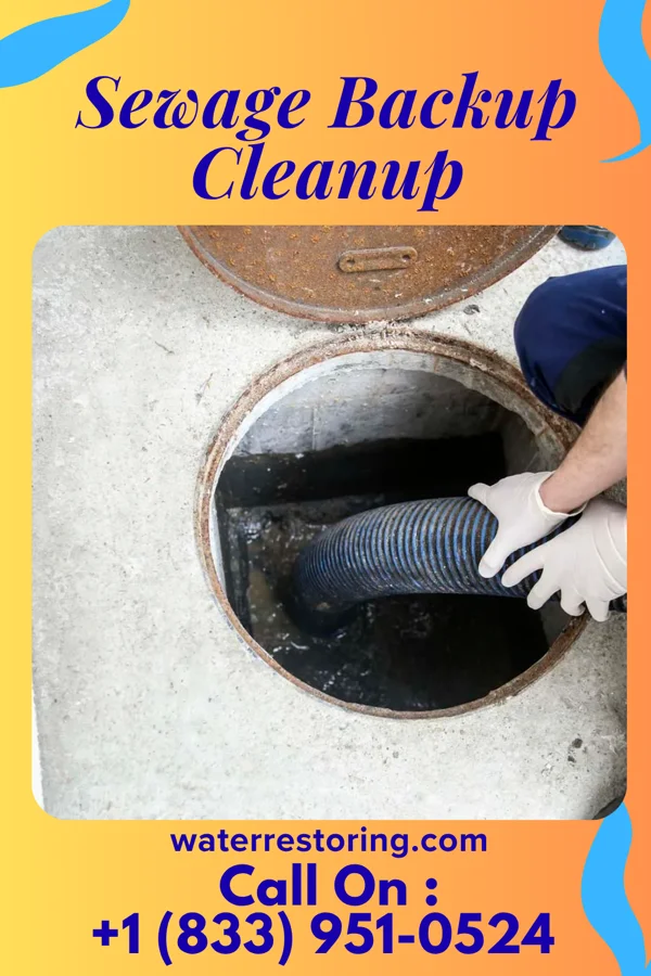 Sewage Backup Cleanup in Tustin, WI