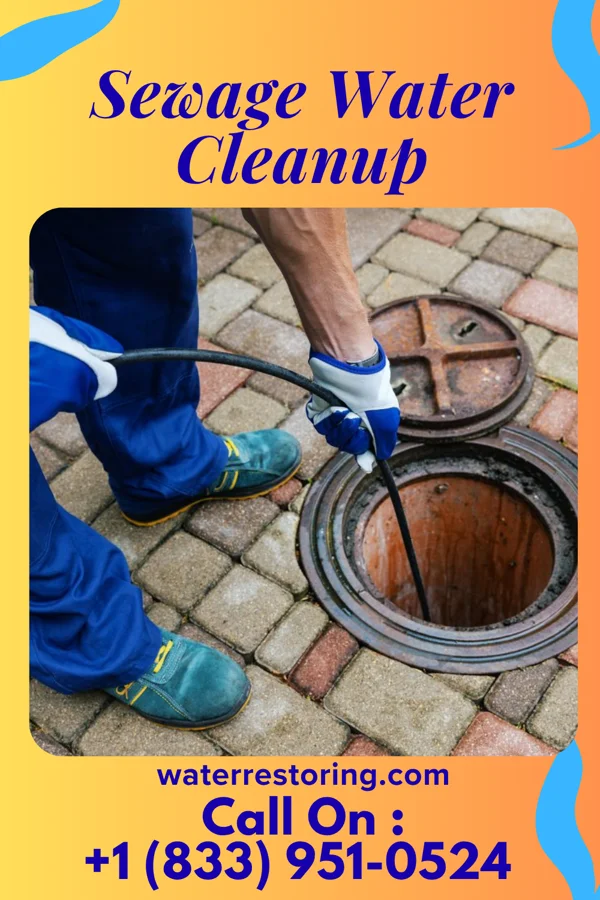 Sewage Water Cleanup in Tustin, WI