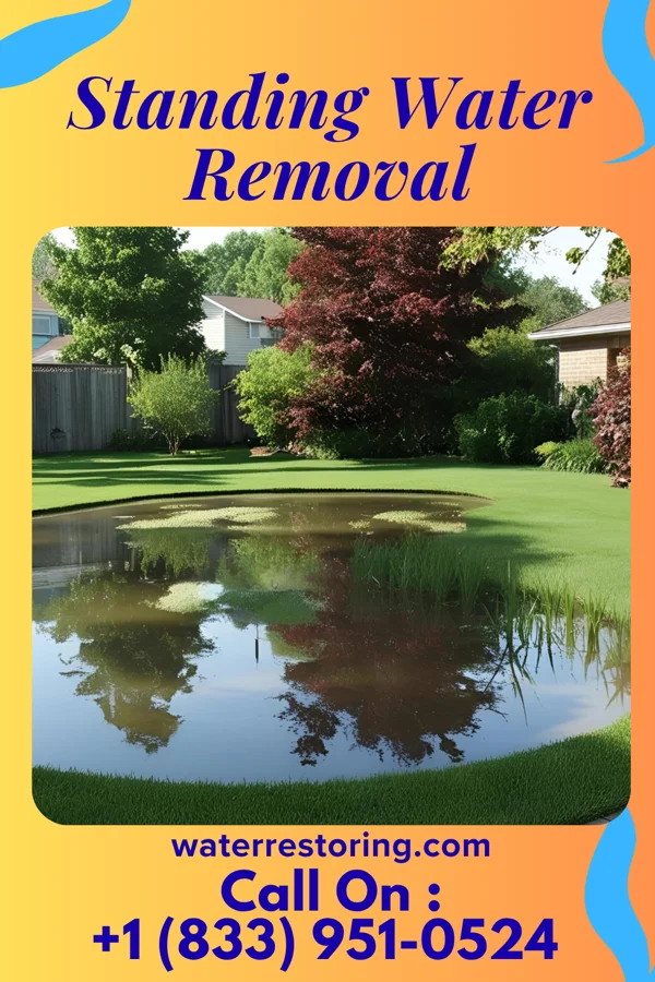 Standing Water Removal in Tustin, WI